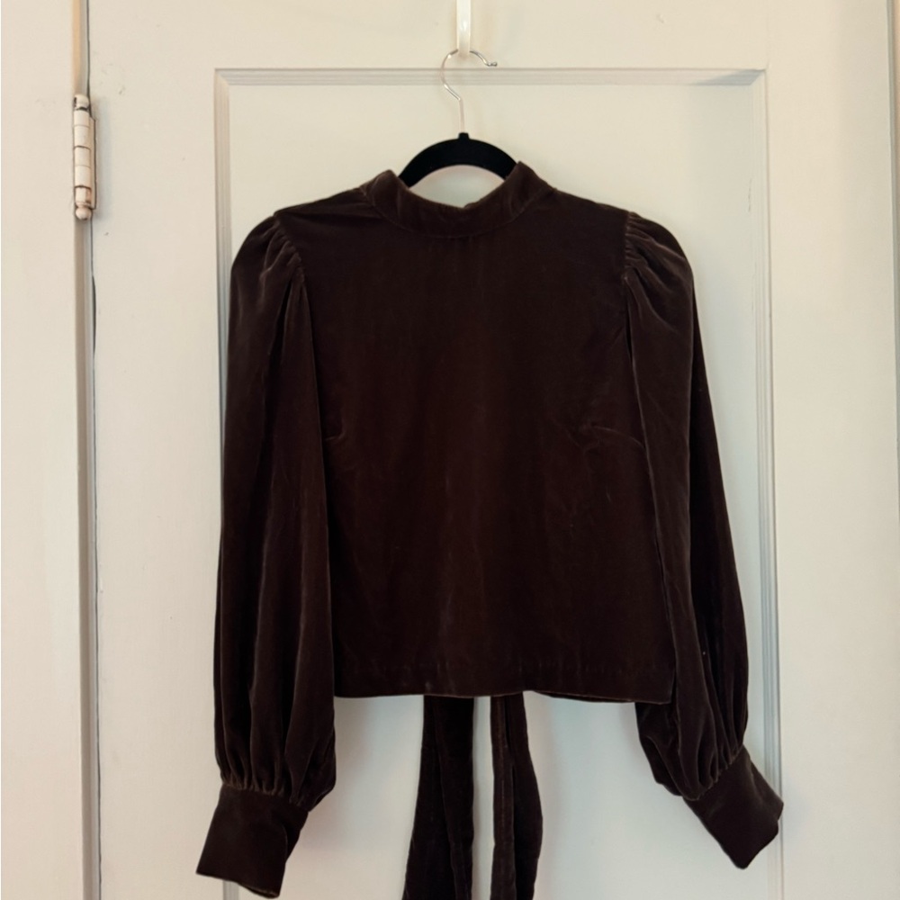 Elegant Brown Velvet Women's Top